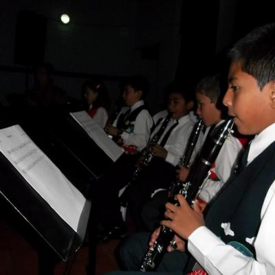 Ensamble de Clarinetes e instrumentos de viento.
