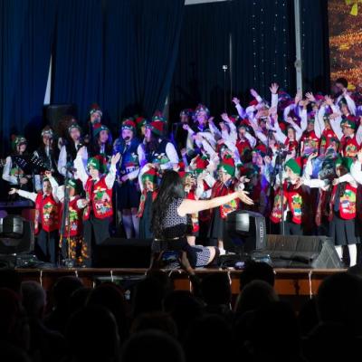 Concierto de Navidad de la E.M Amadeus
