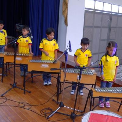 Grupo de Placas - Xilófonos y metalófonos.