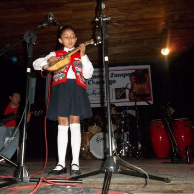 Charango E.m Amadeus