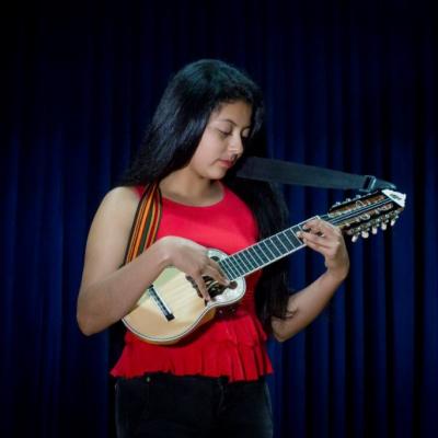 Instrumentos Andinos - Charango
